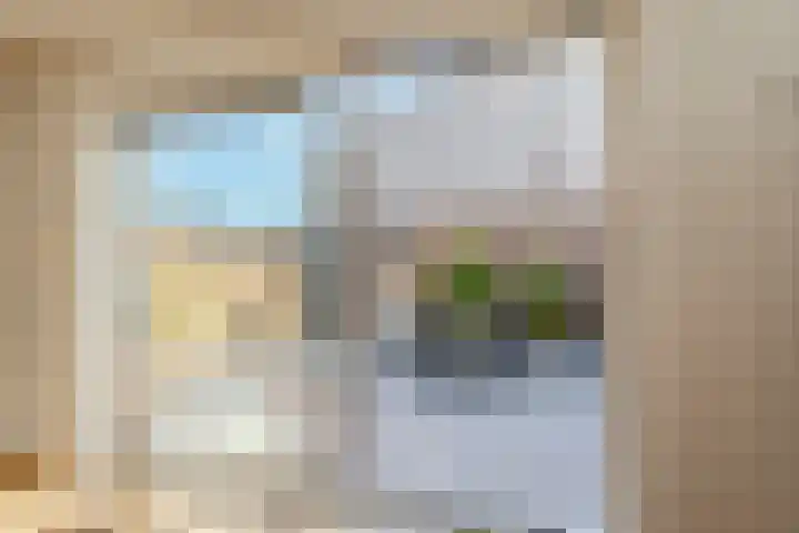 Snoeklaan 114 Voorhout thumbnail 6