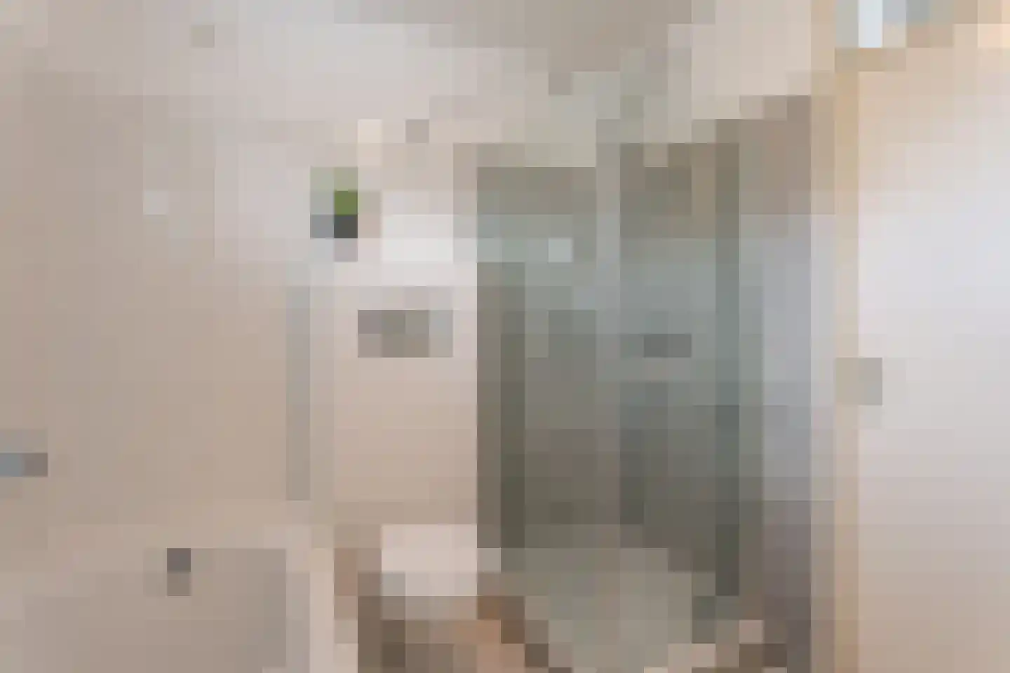 Snoeklaan 144 Voorhout thumbnail 10