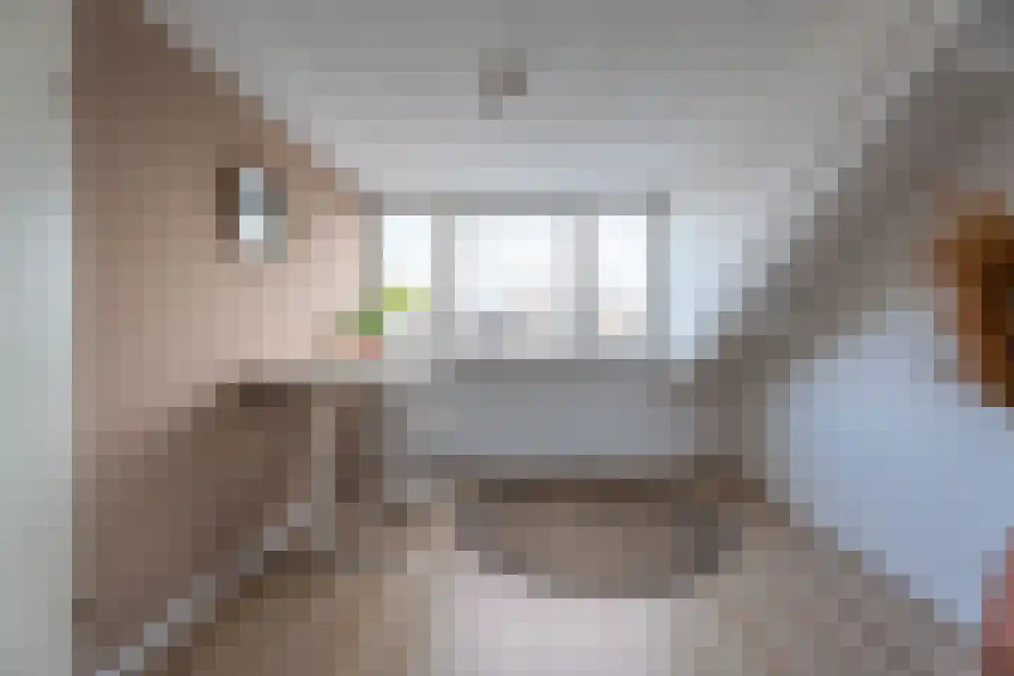 Snoeklaan 144 Voorhout thumbnail 37