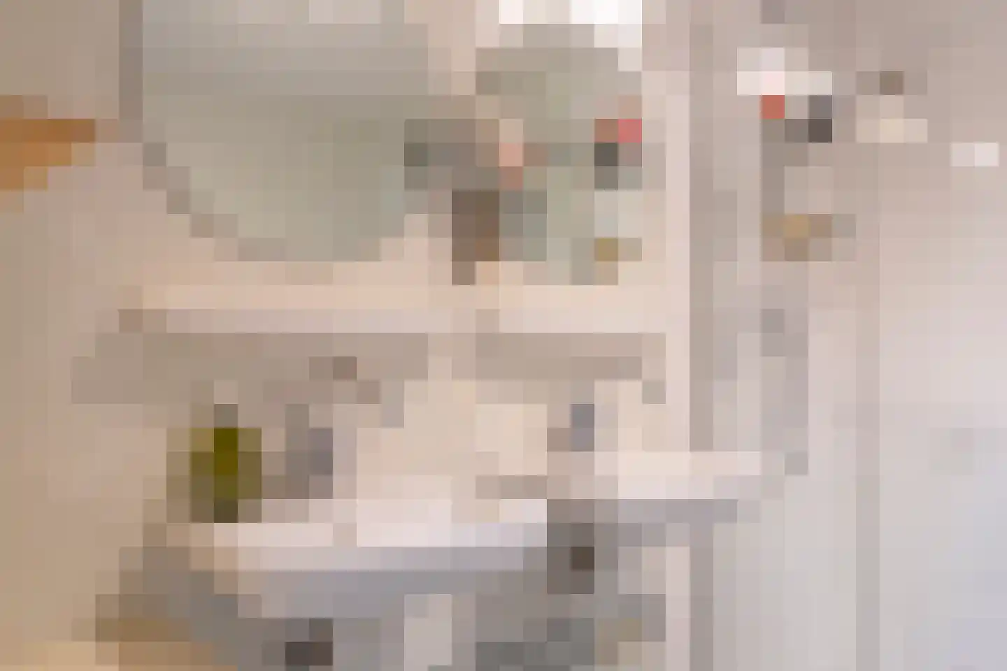 Snoeklaan 19 Voorhout thumbnail 29