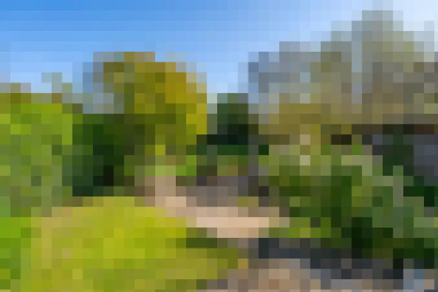 Snoeklaan 19 Voorhout thumbnail 39