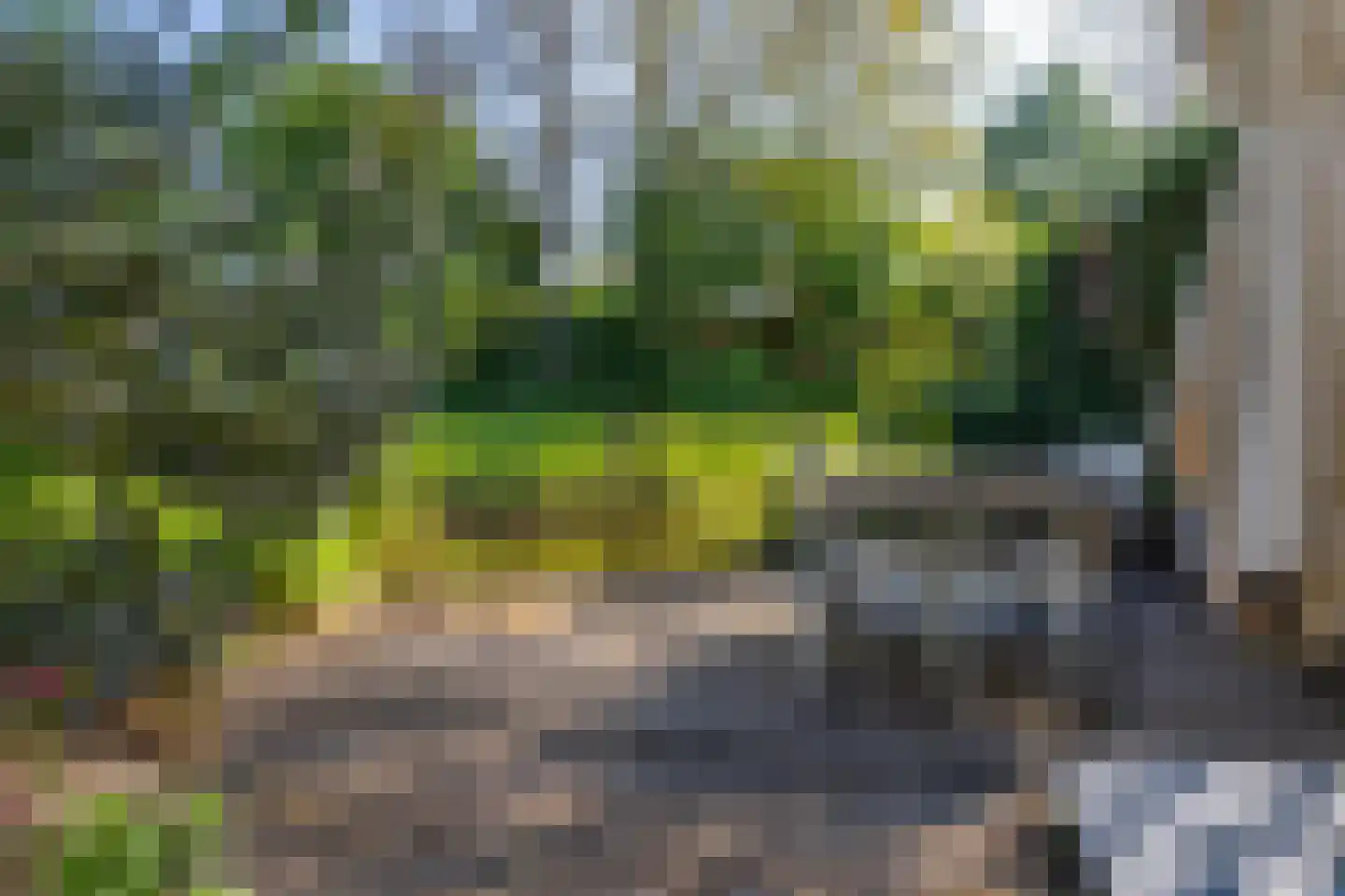 Snoeklaan 19 Voorhout thumbnail 41