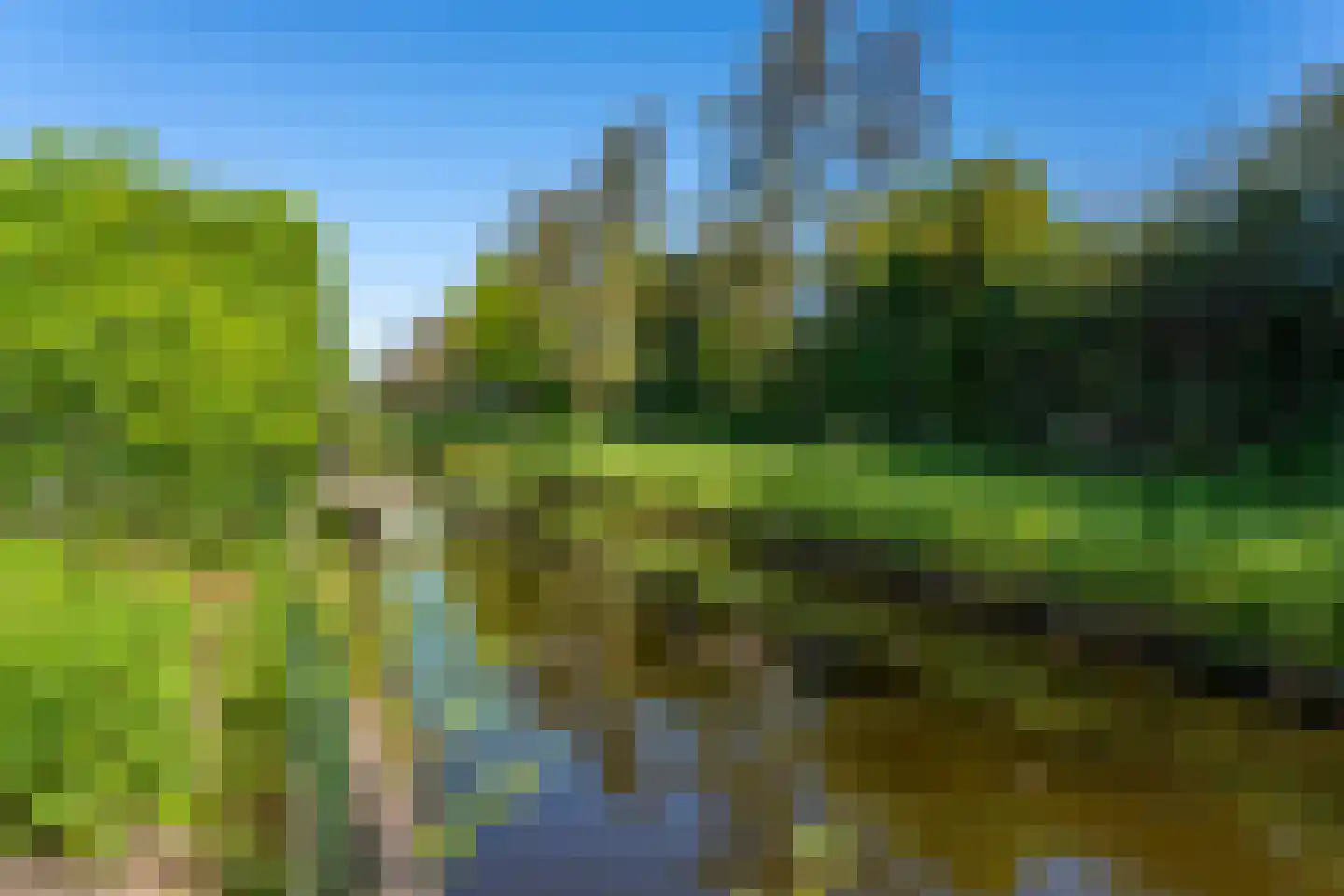 Snoeklaan 19 Voorhout thumbnail 42