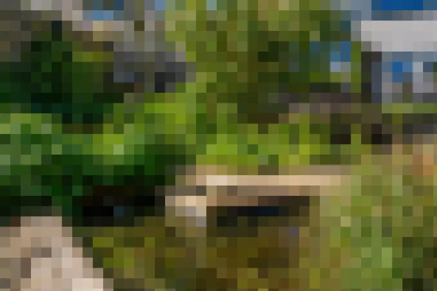 Snoeklaan 19 Voorhout thumbnail 45