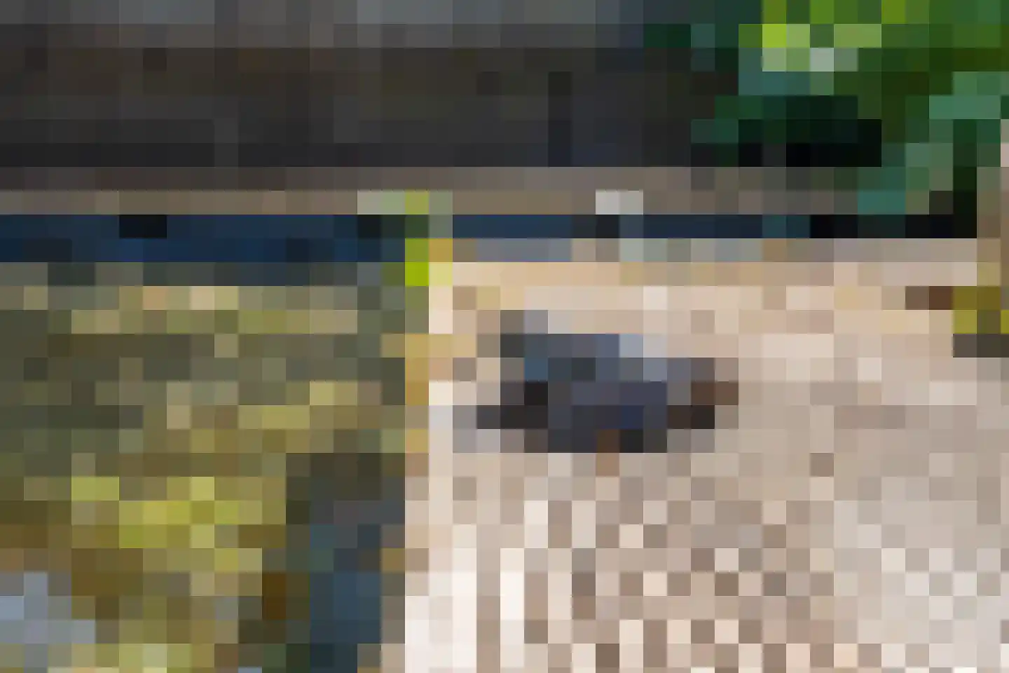 Snoeklaan 19 Voorhout thumbnail 46