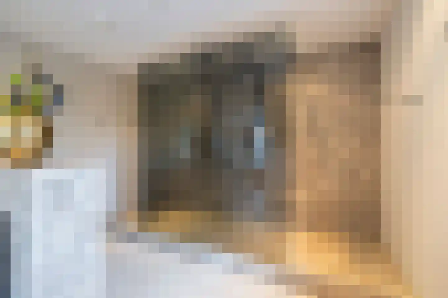 Snoeklaan 231 Voorhout thumbnail 29