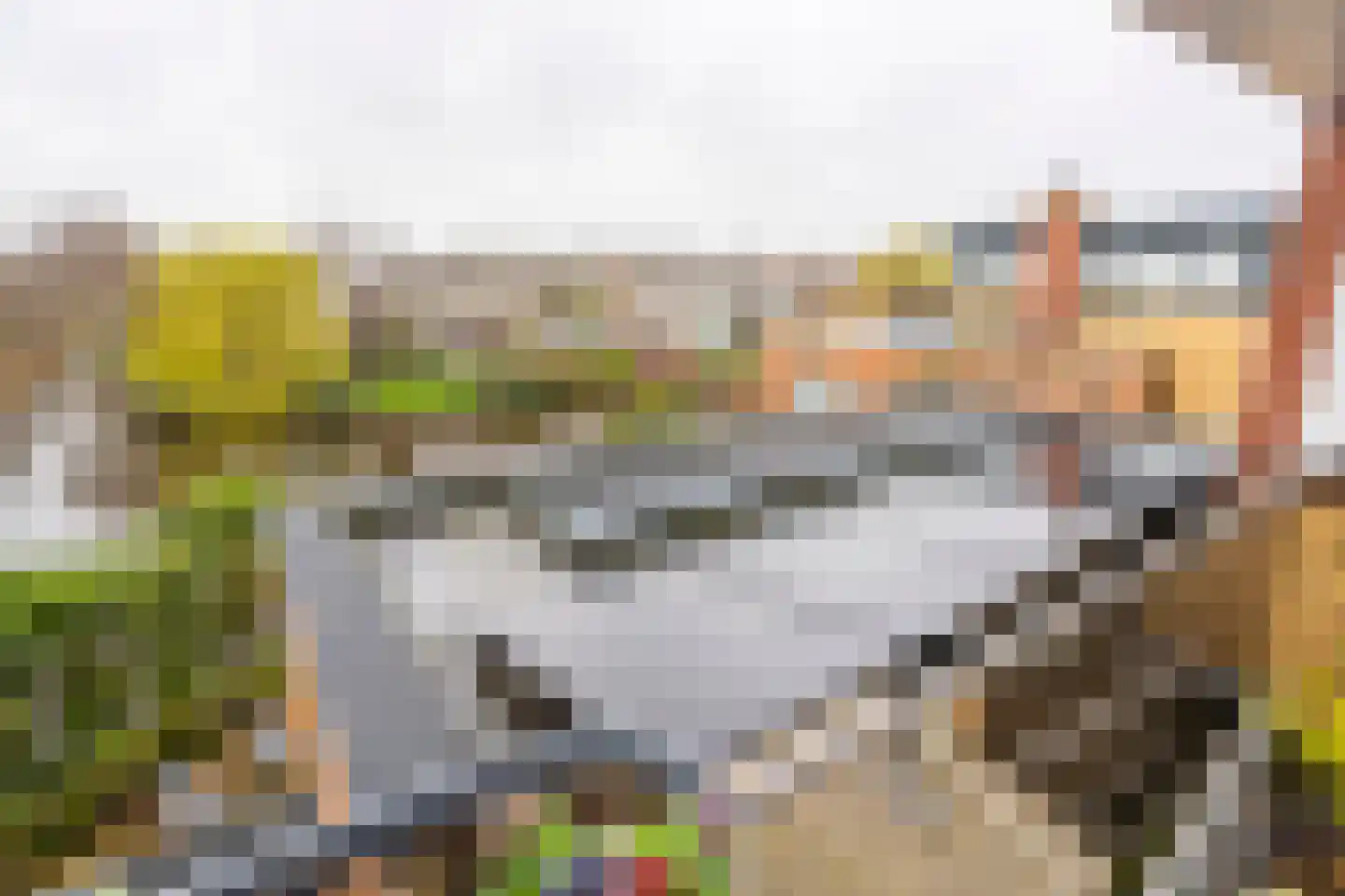 Snoeklaan 231 Voorhout thumbnail 49