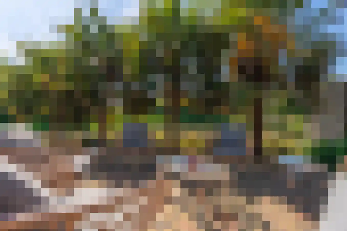 Snoeklaan 231 Voorhout thumbnail 53