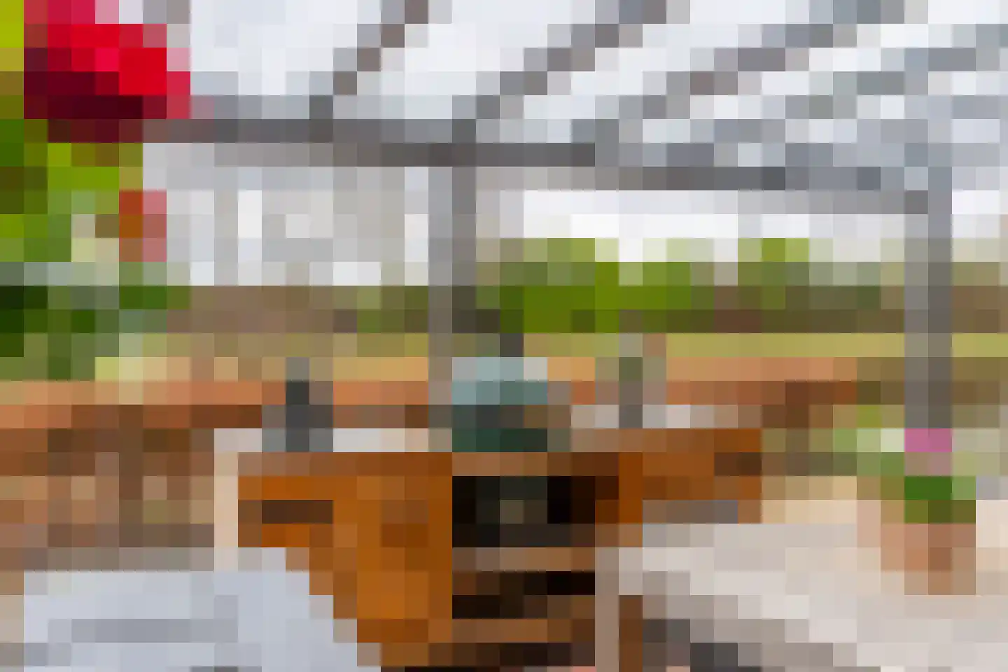 Snoeklaan 231 Voorhout thumbnail 56