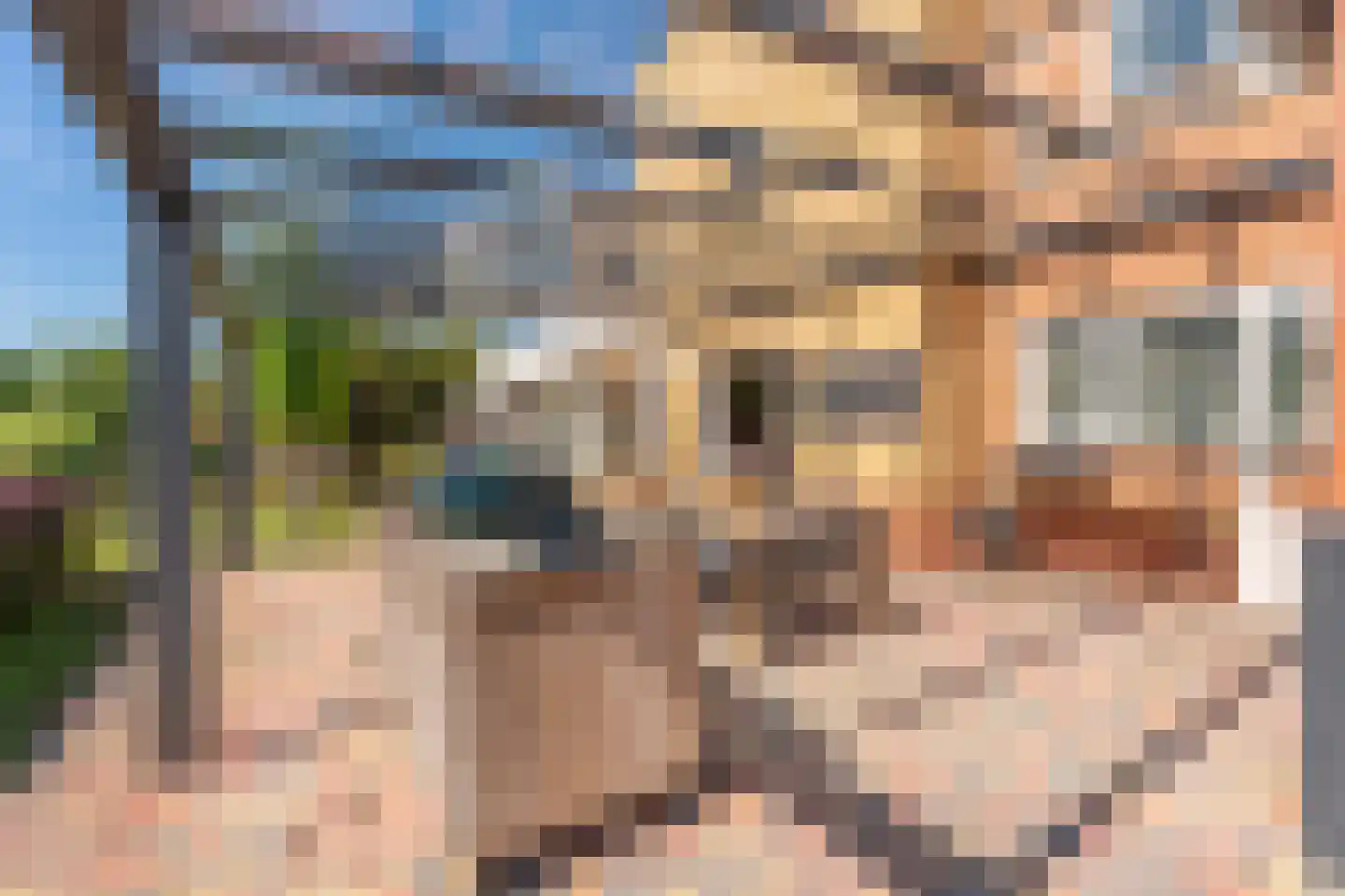 Snoeklaan 231 Voorhout thumbnail 58