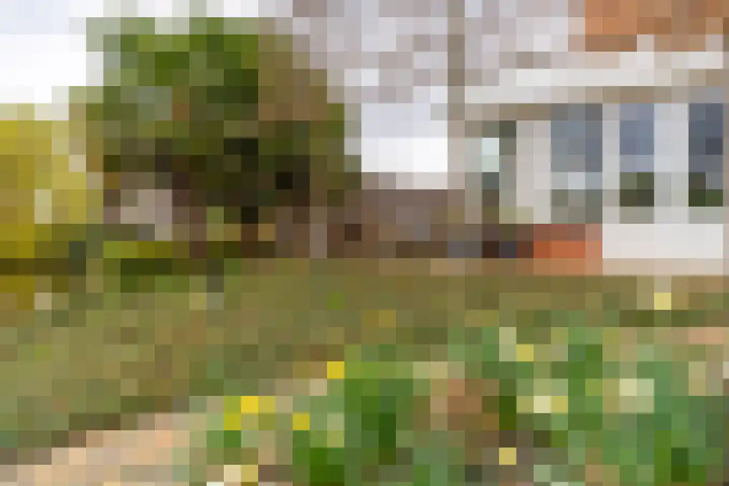 Snoeklaan 231 Voorhout thumbnail 59