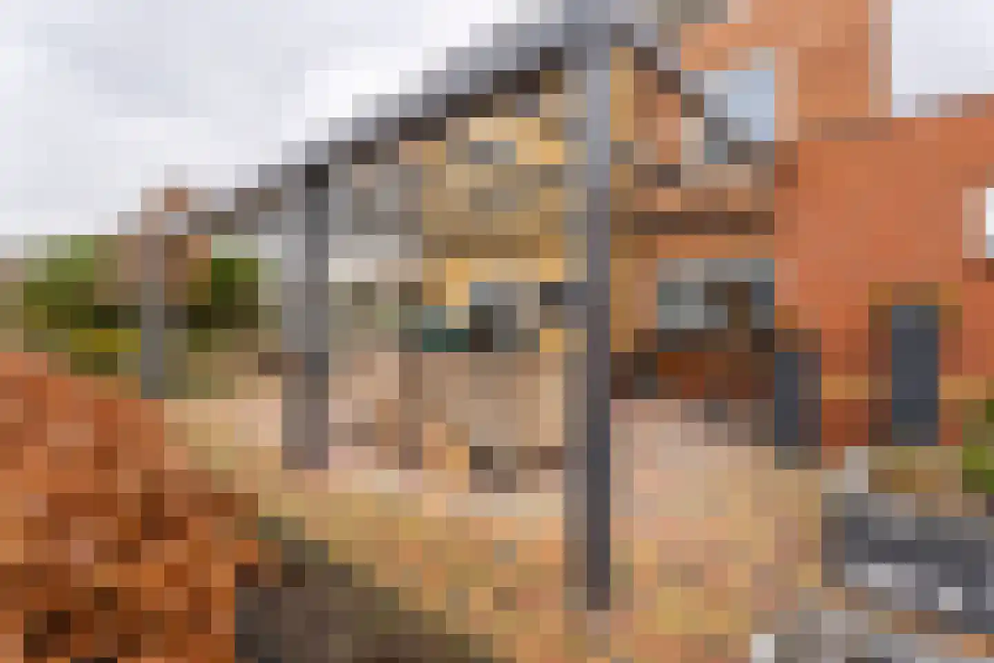 Snoeklaan 231 Voorhout thumbnail 62