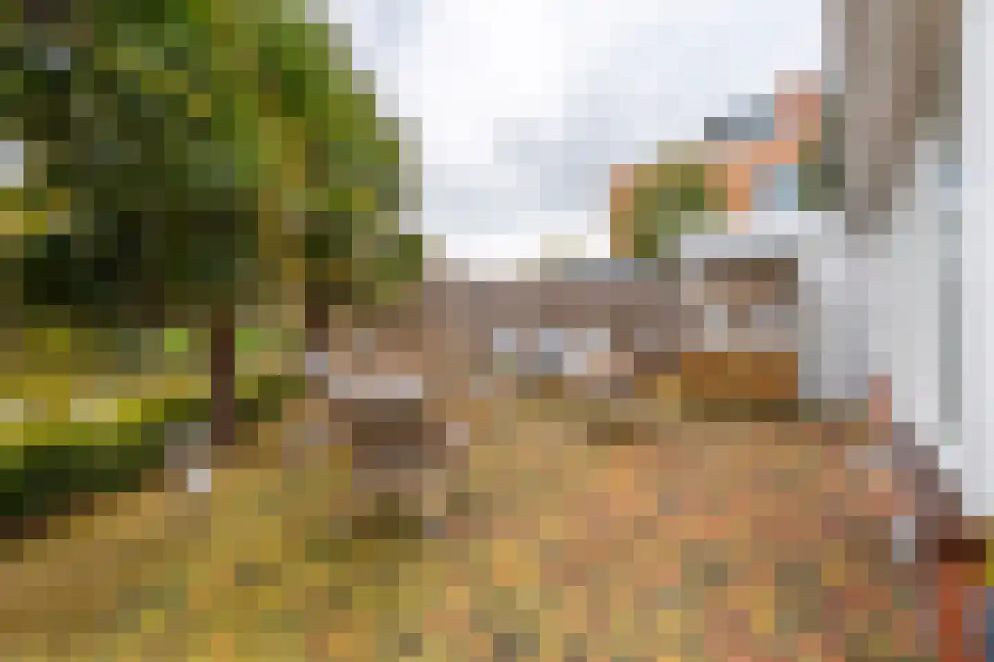 Snoeklaan 231 Voorhout thumbnail 65