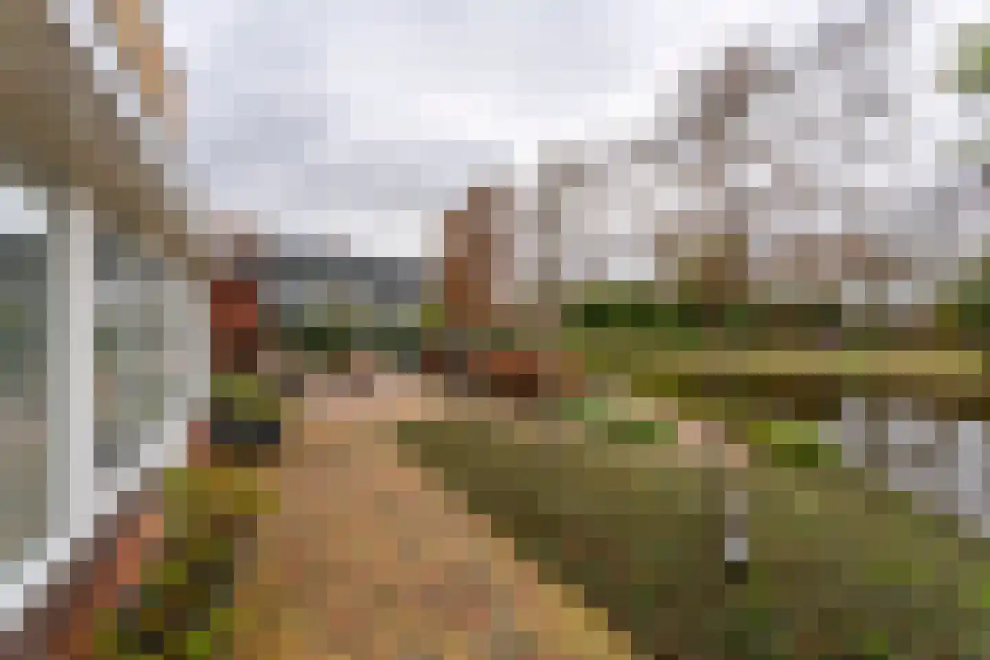 Snoeklaan 231 Voorhout thumbnail 67