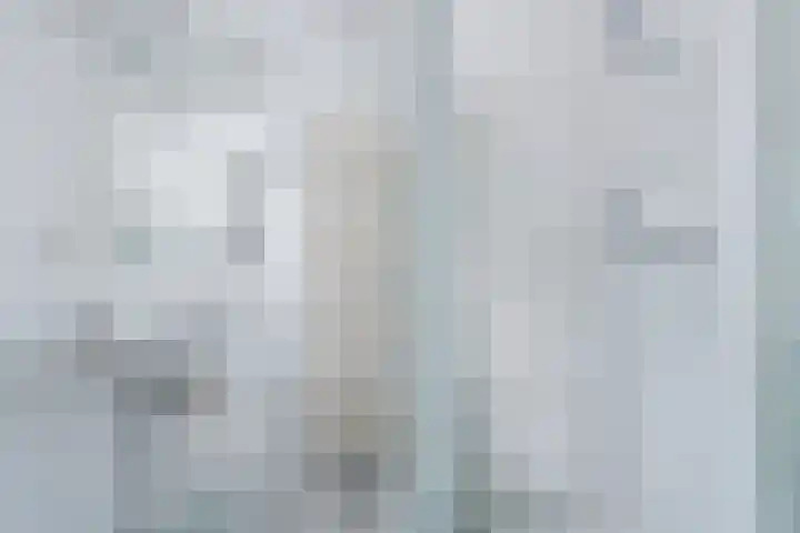 Snoeklaan 24 Voorhout thumbnail 29