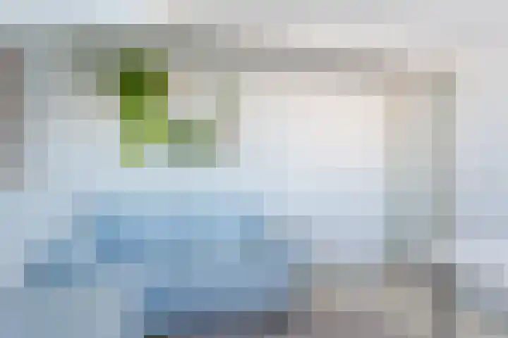 Snoeklaan 24 Voorhout thumbnail 35