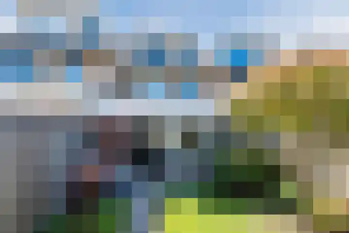 Snoeklaan 24 Voorhout thumbnail 36