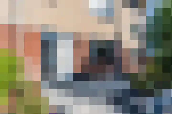 Snoeklaan 24 Voorhout thumbnail 4