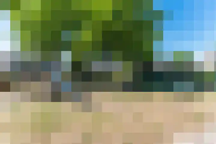 Snoeklaan 24 Voorhout thumbnail 41
