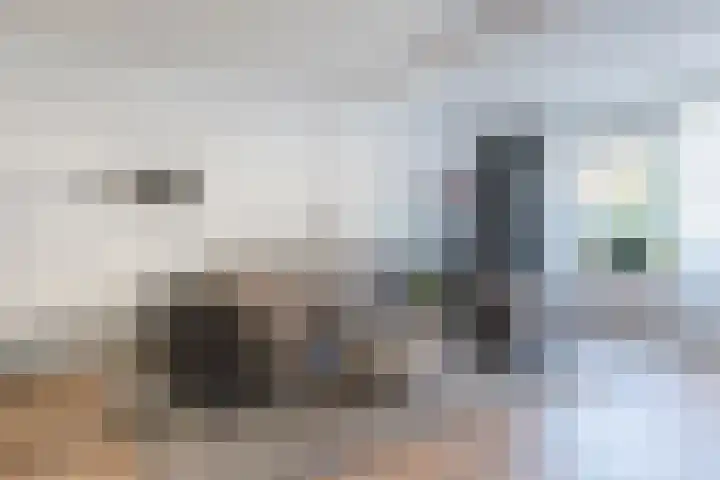 Snoeklaan 24 Voorhout thumbnail 8
