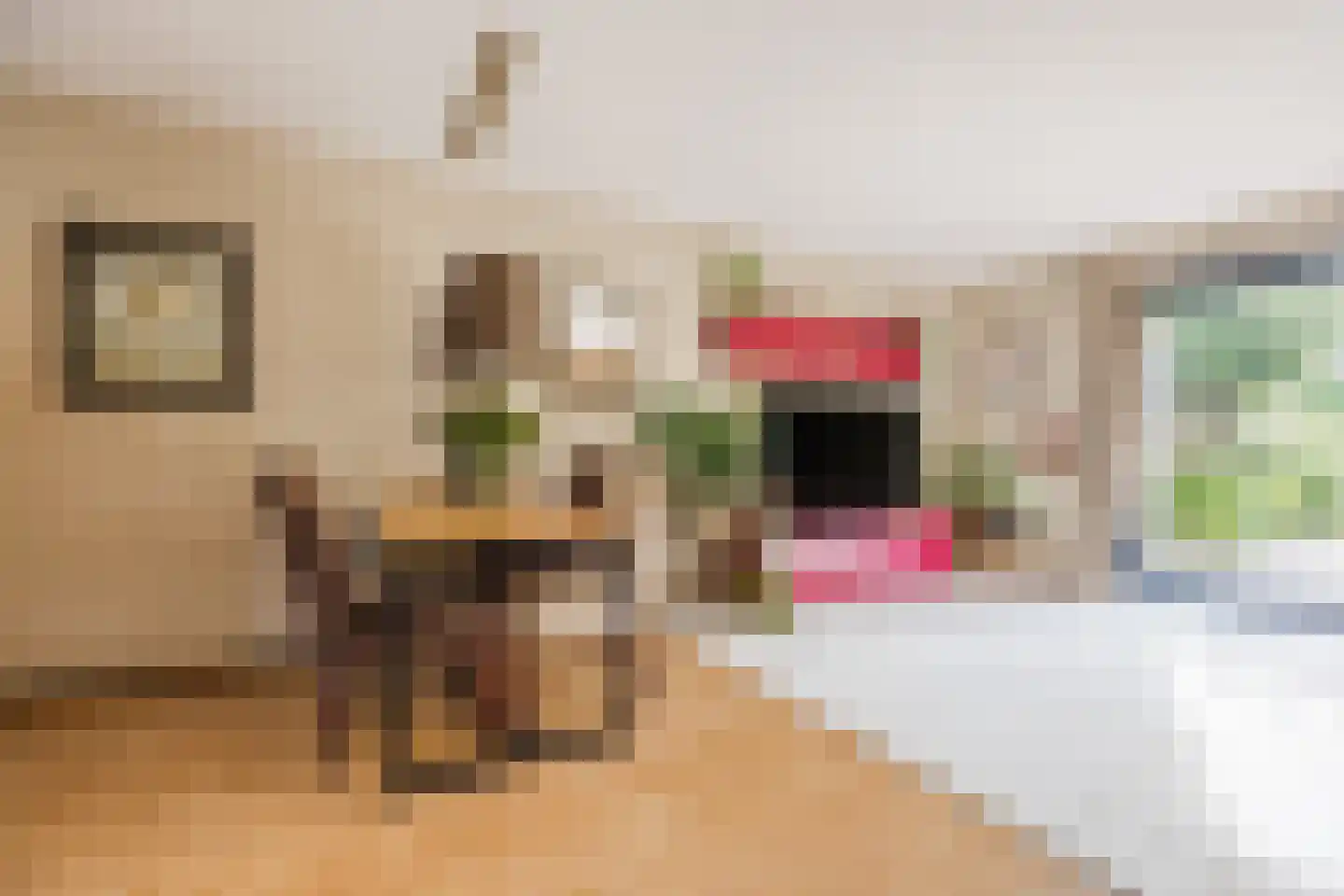 Snoeklaan 70 Voorhout thumbnail 10