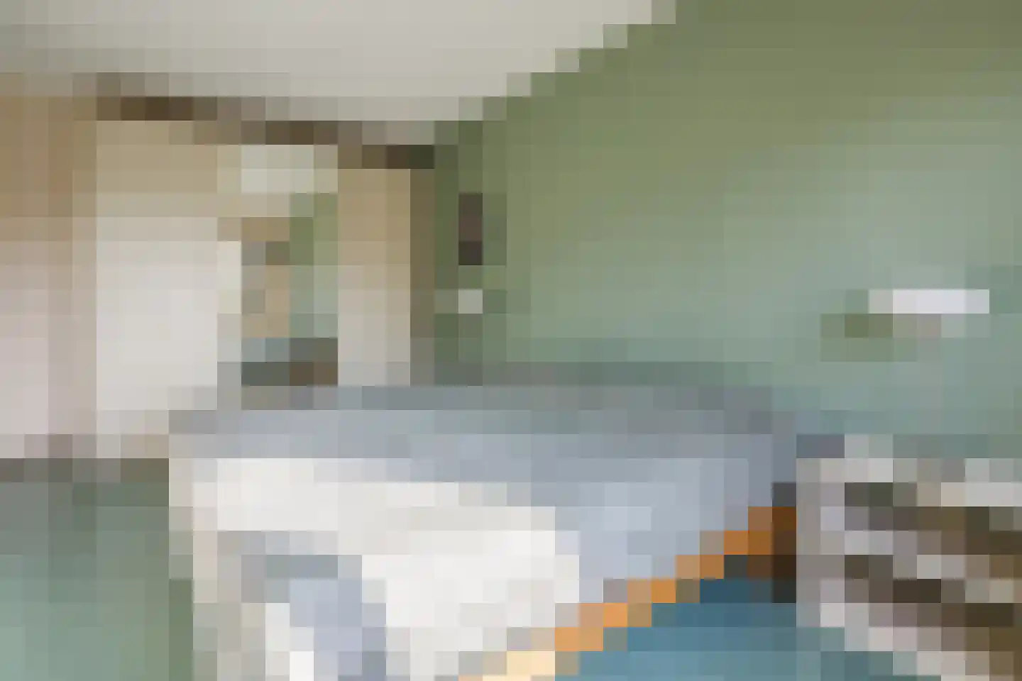 Snoeklaan 70 Voorhout thumbnail 22