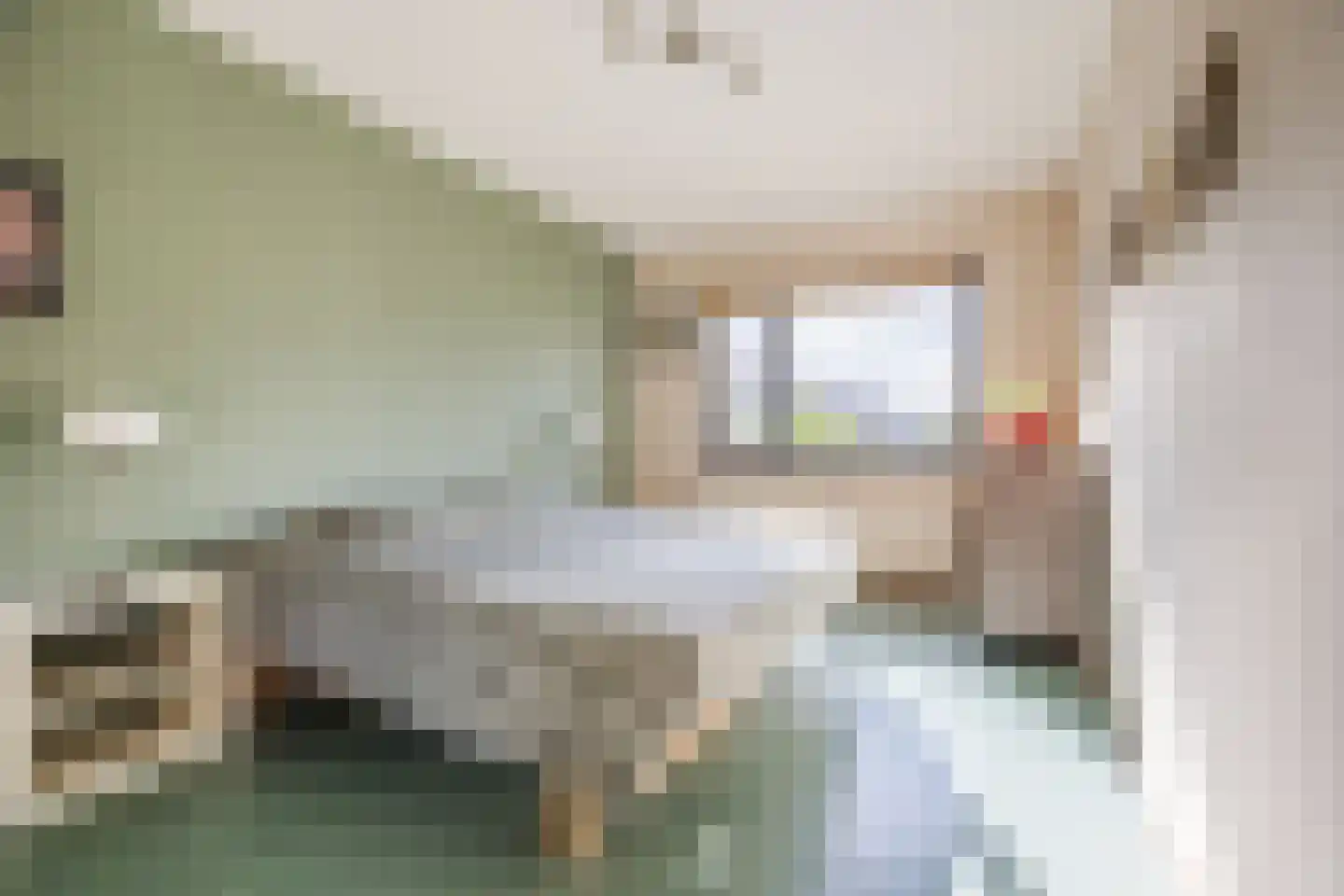 Snoeklaan 70 Voorhout thumbnail 23