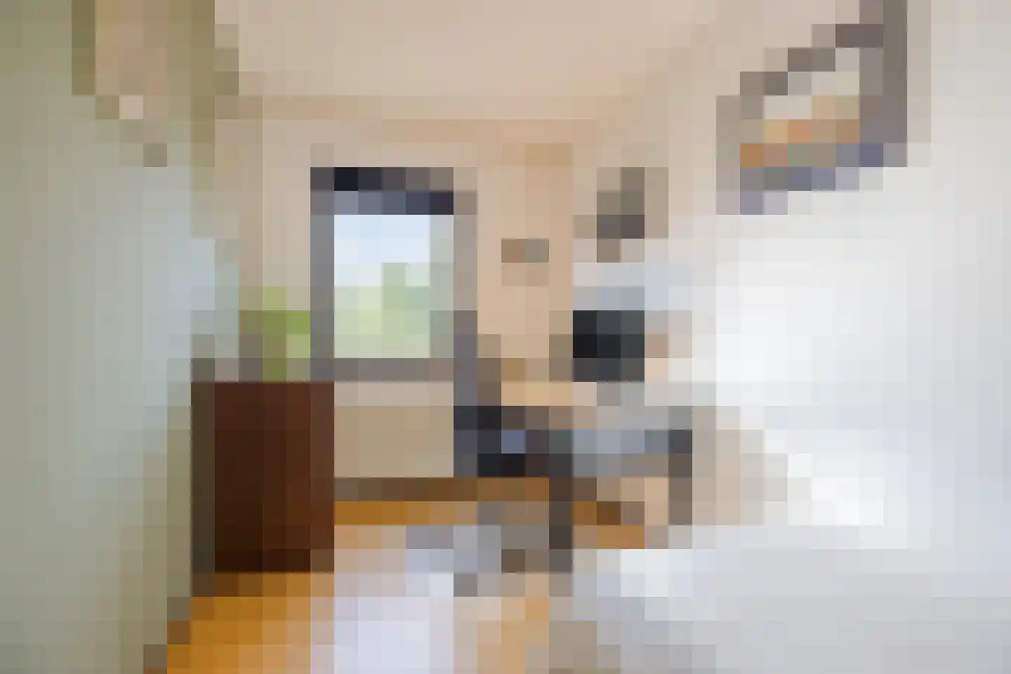 Snoeklaan 70 Voorhout thumbnail 24