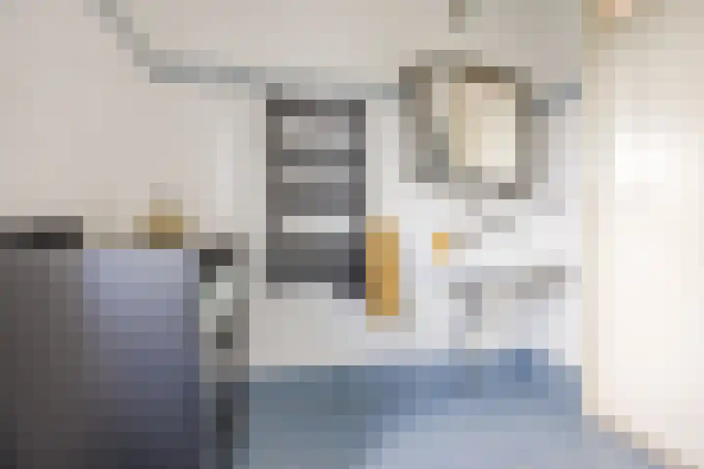 Snoeklaan 70 Voorhout thumbnail 28