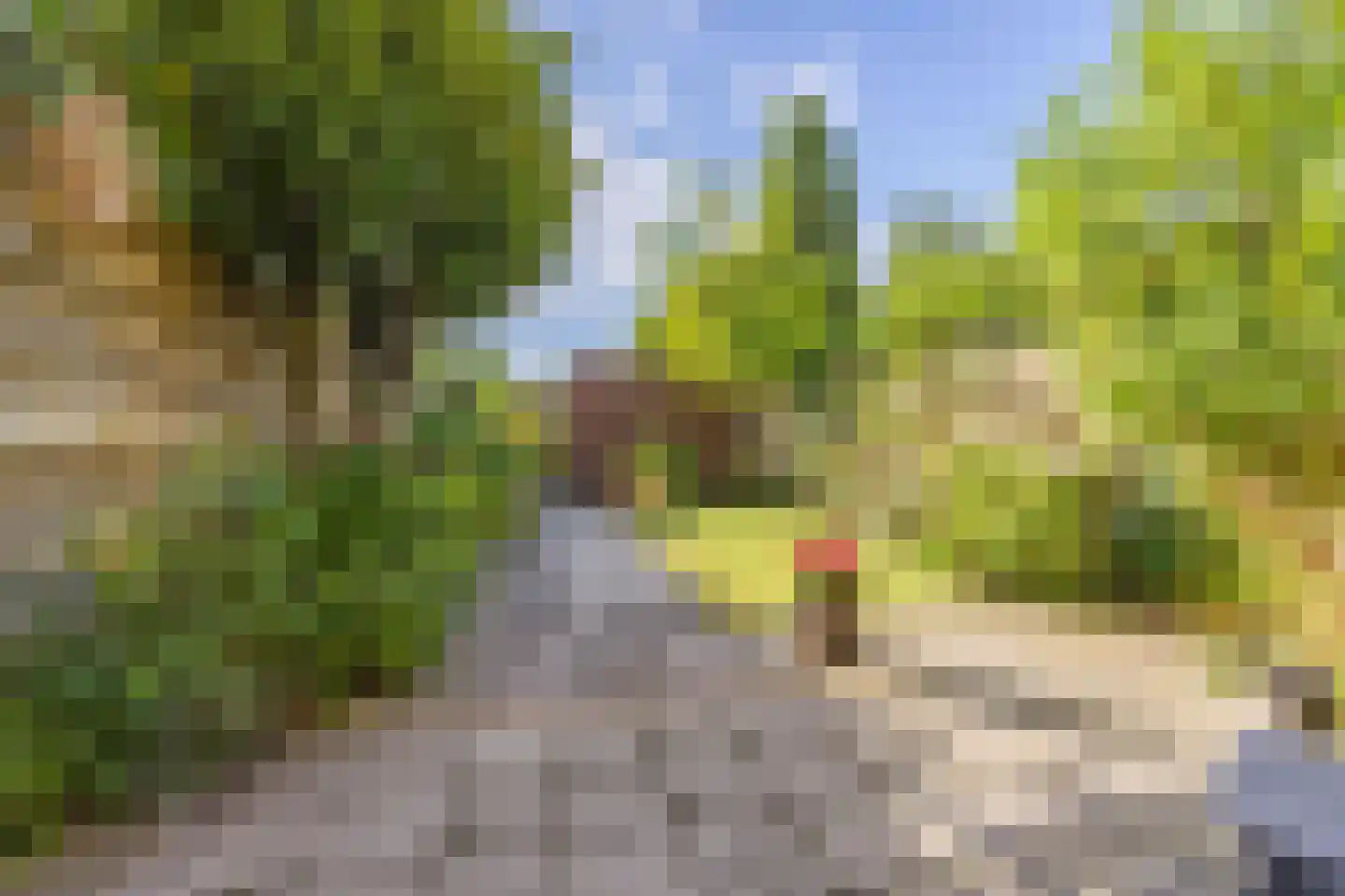 Snoeklaan 70 Voorhout thumbnail 33