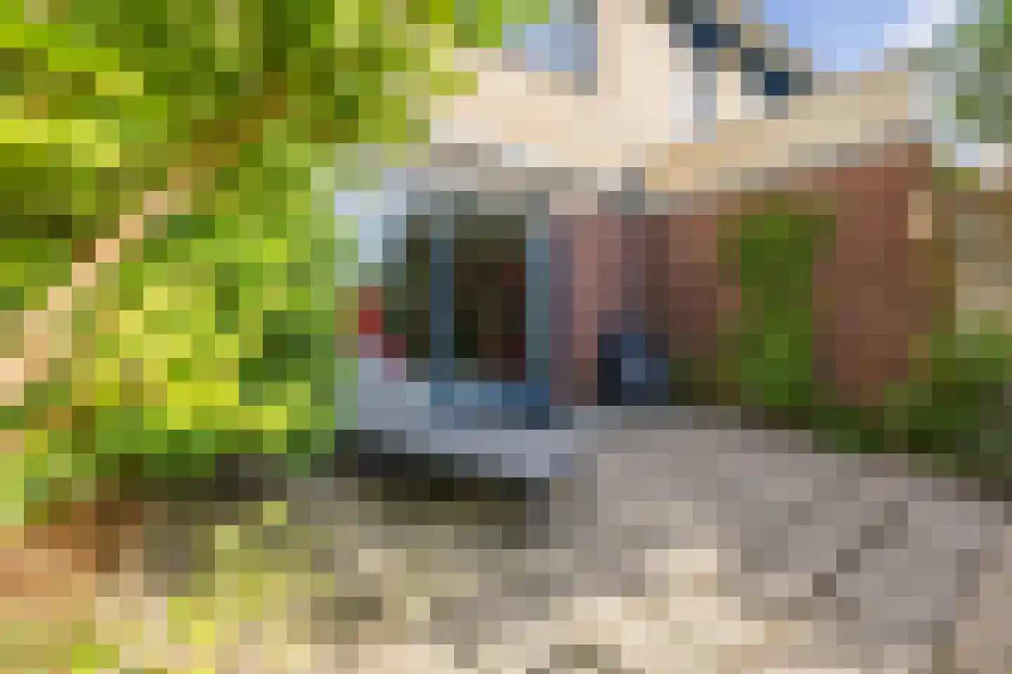 Snoeklaan 70 Voorhout thumbnail 35