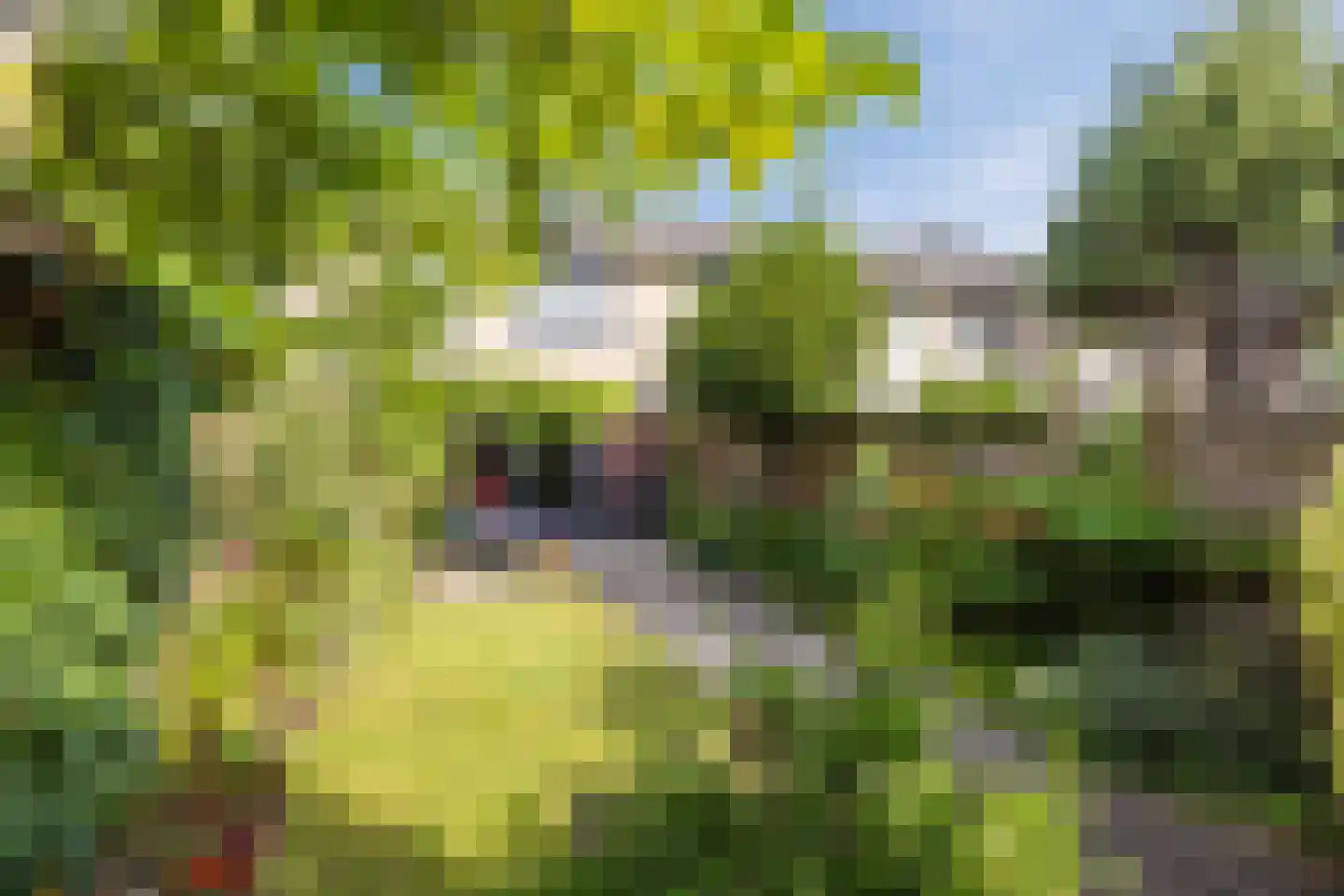 Snoeklaan 70 Voorhout thumbnail 37