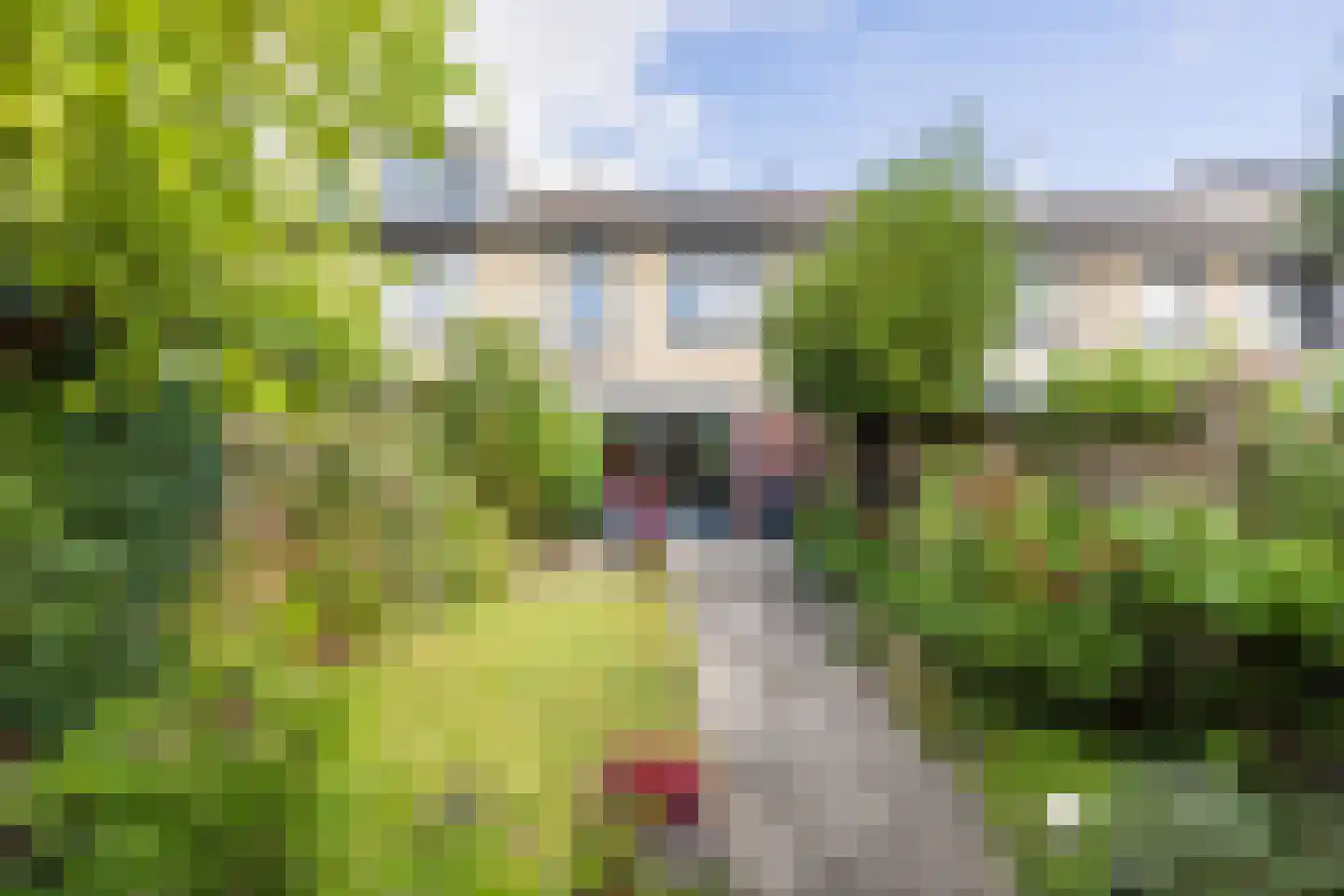 Snoeklaan 70 Voorhout thumbnail 38