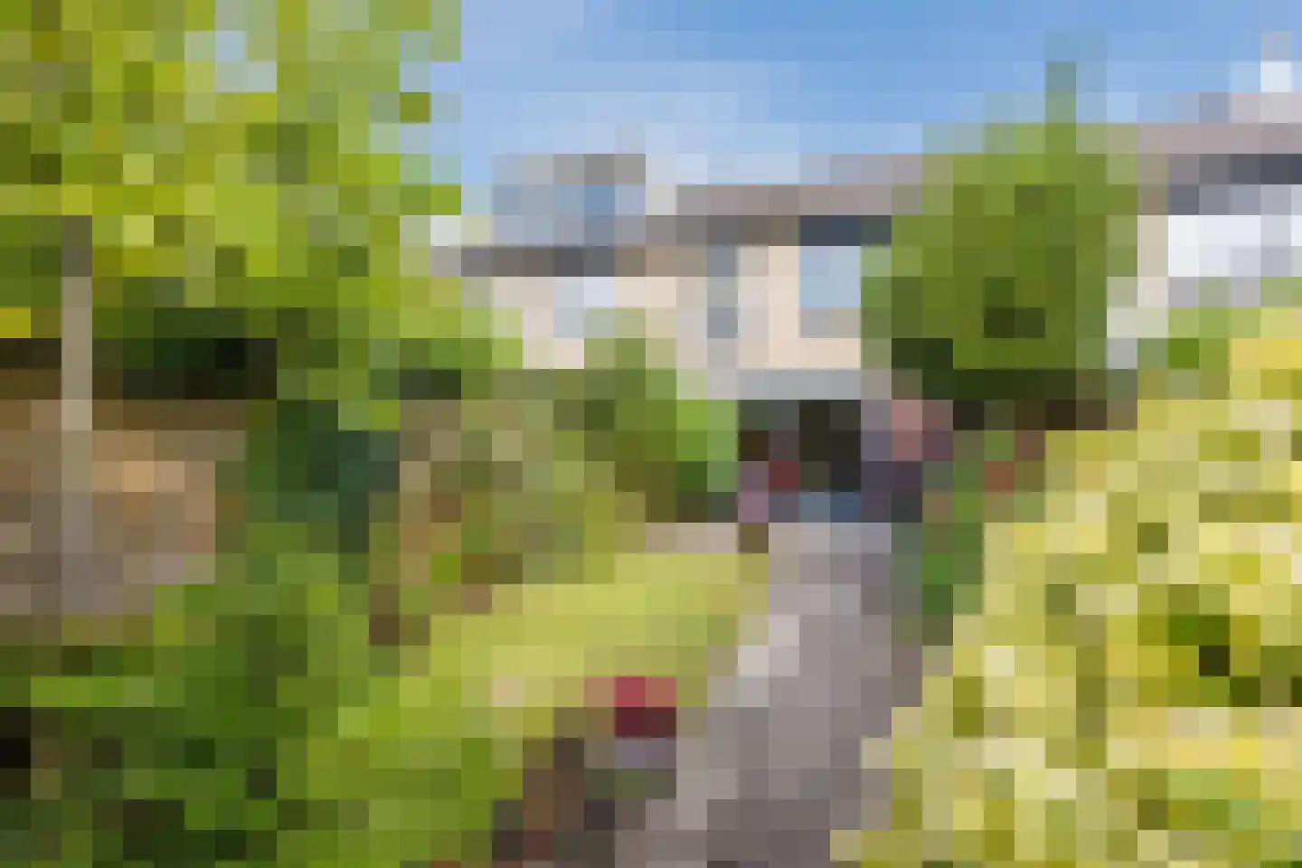 Snoeklaan 70 Voorhout thumbnail 39