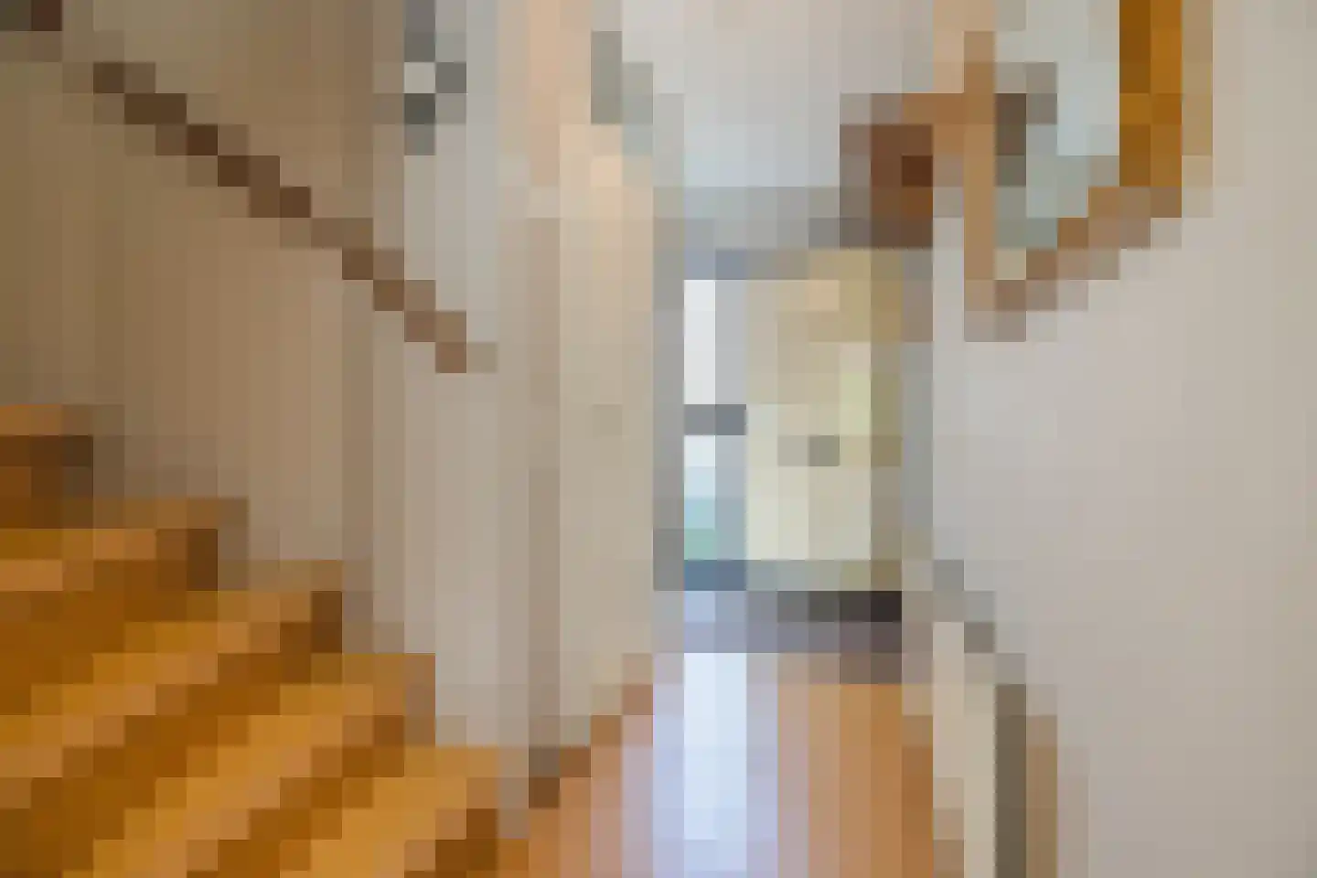 Snoeklaan 70 Voorhout thumbnail 7
