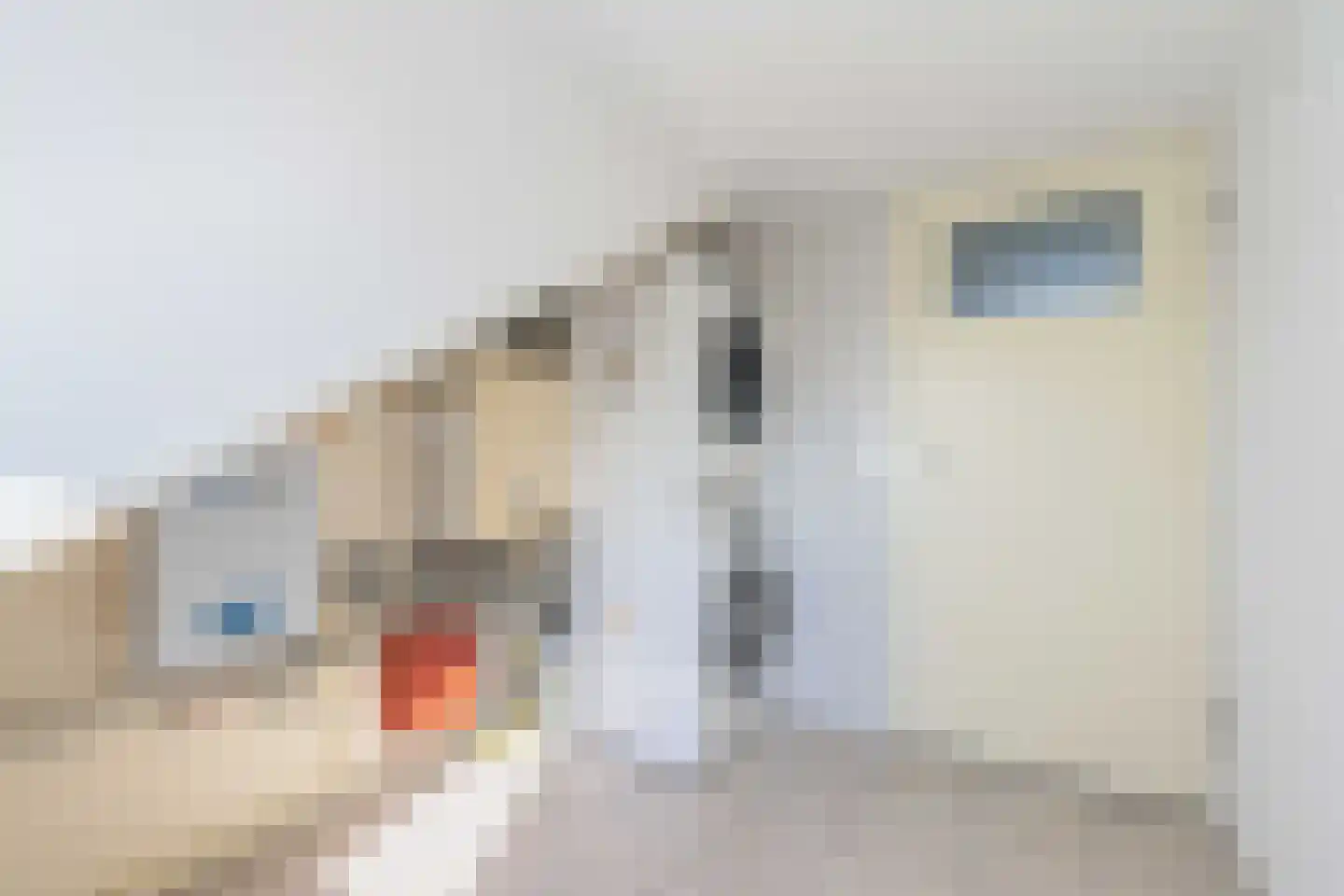 Snoeklaan 74 Voorhout thumbnail 38