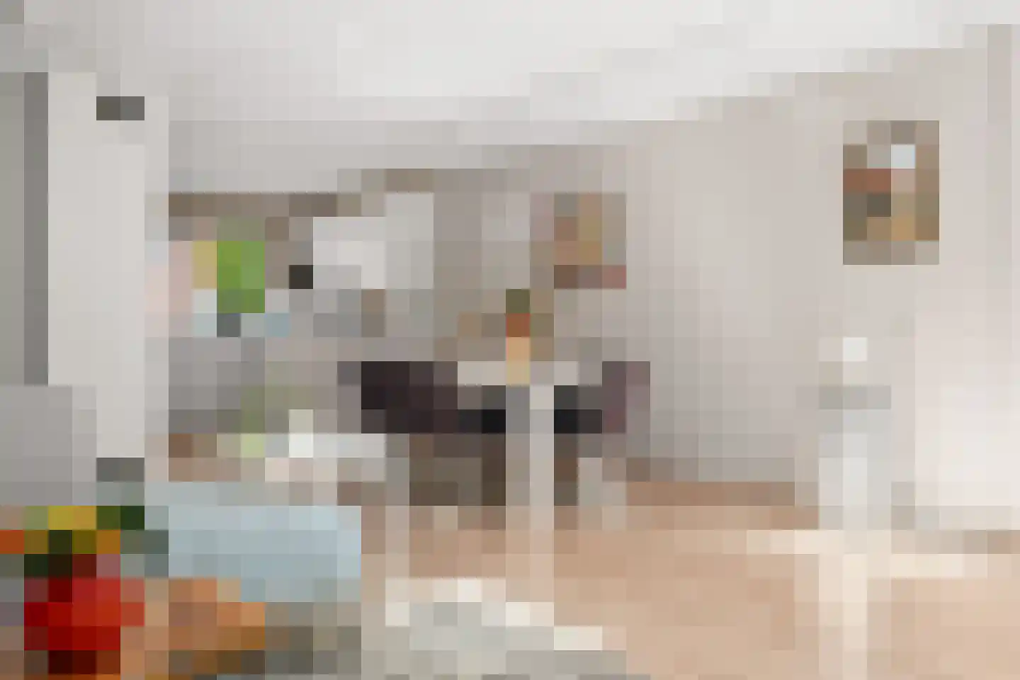 Snoeksloot 110 Houten thumbnail 12