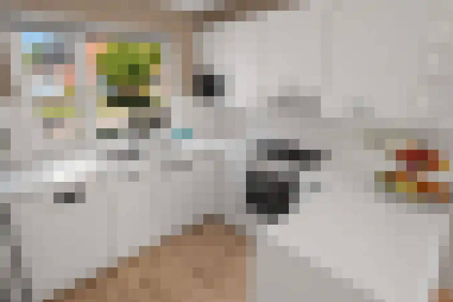 Snoeksloot 110 Houten thumbnail 20