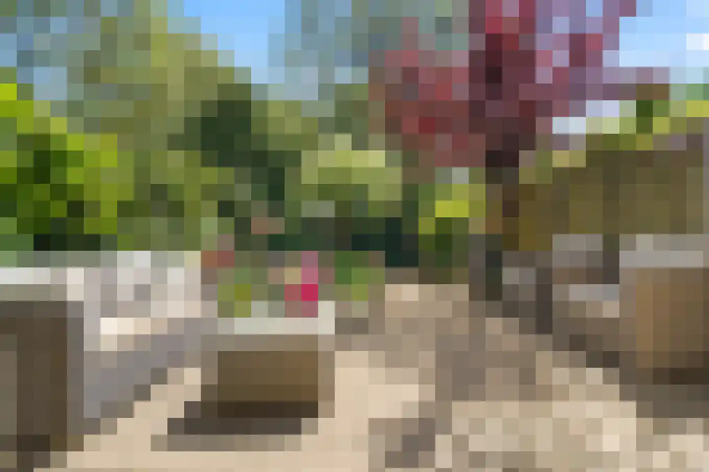 Snoeksloot 110 Houten thumbnail 22