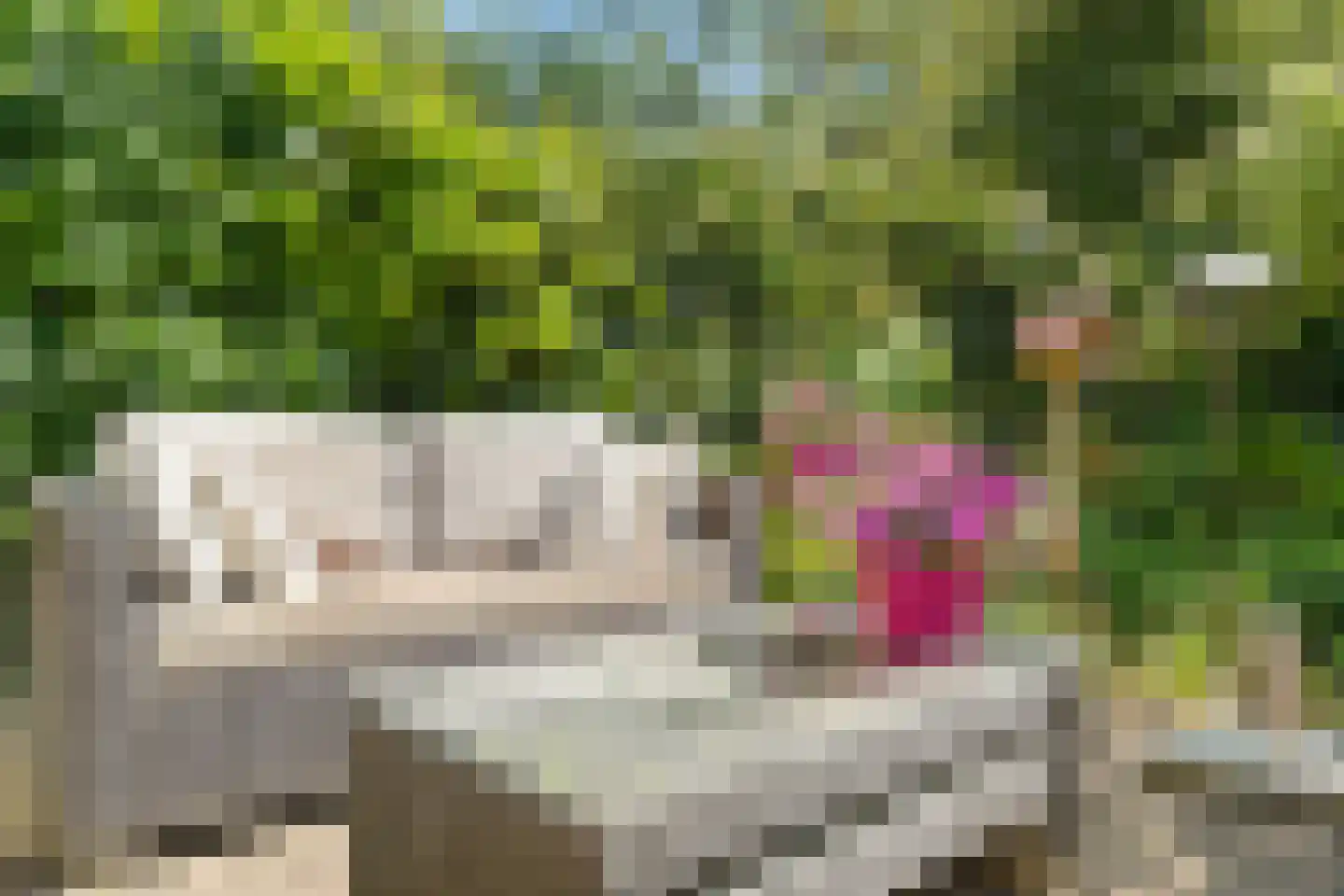 Snoeksloot 110 Houten thumbnail 23