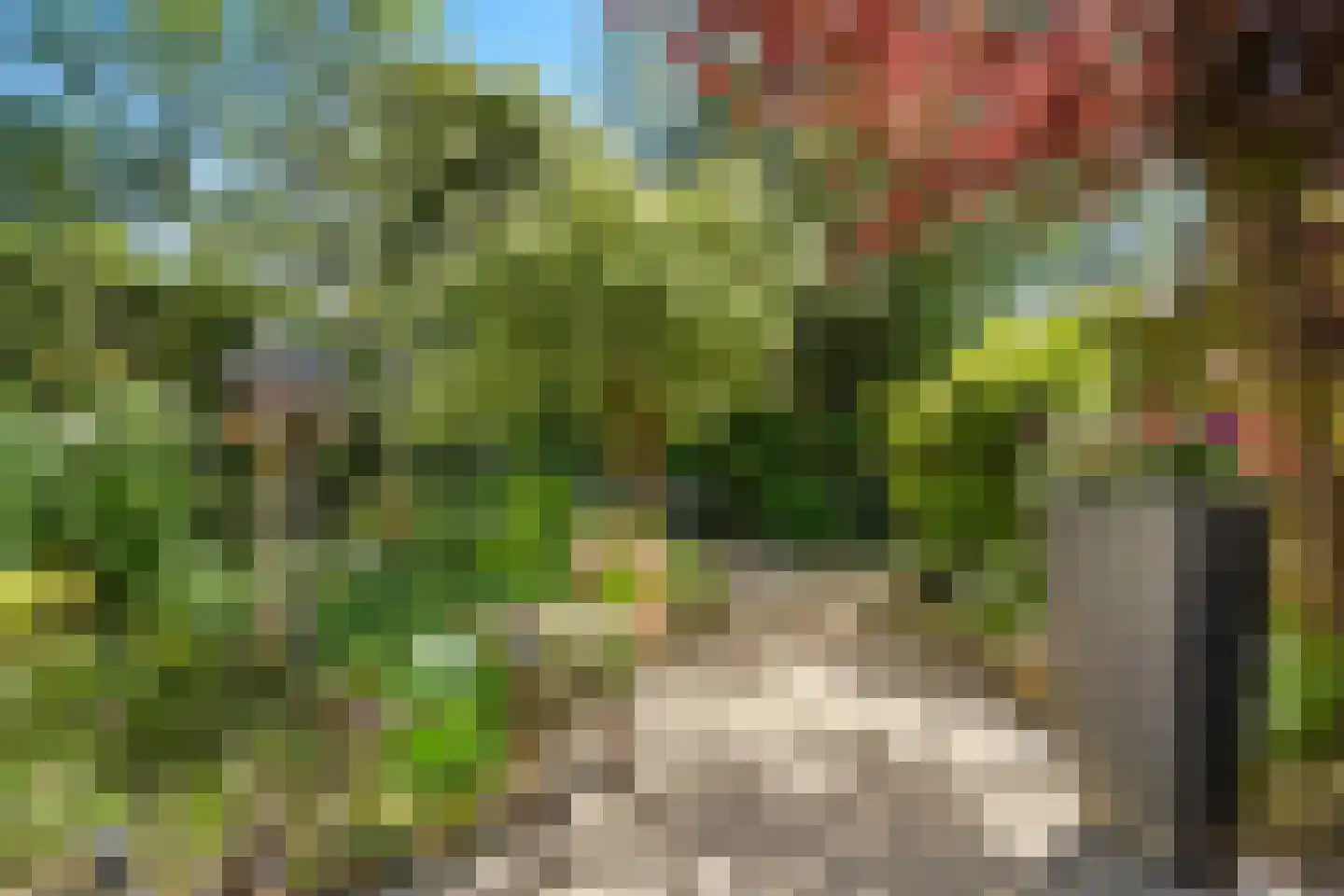 Snoeksloot 110 Houten thumbnail 24
