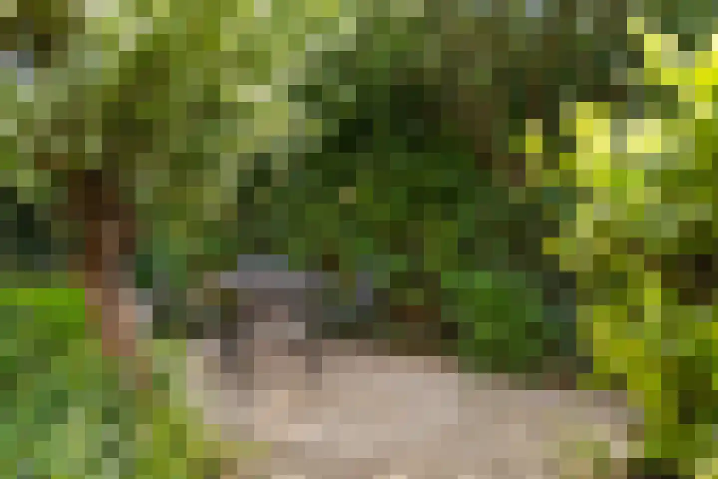 Snoeksloot 110 Houten thumbnail 25
