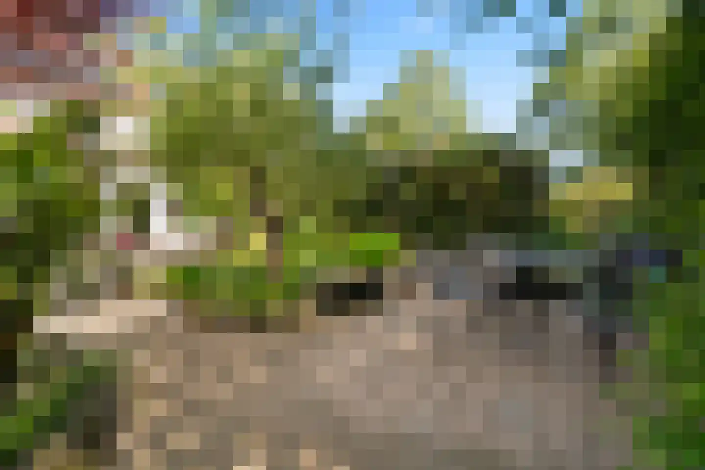 Snoeksloot 110 Houten thumbnail 26