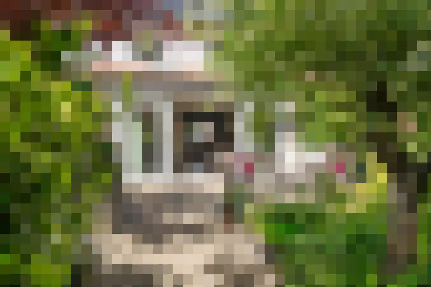 Snoeksloot 110 Houten thumbnail 27
