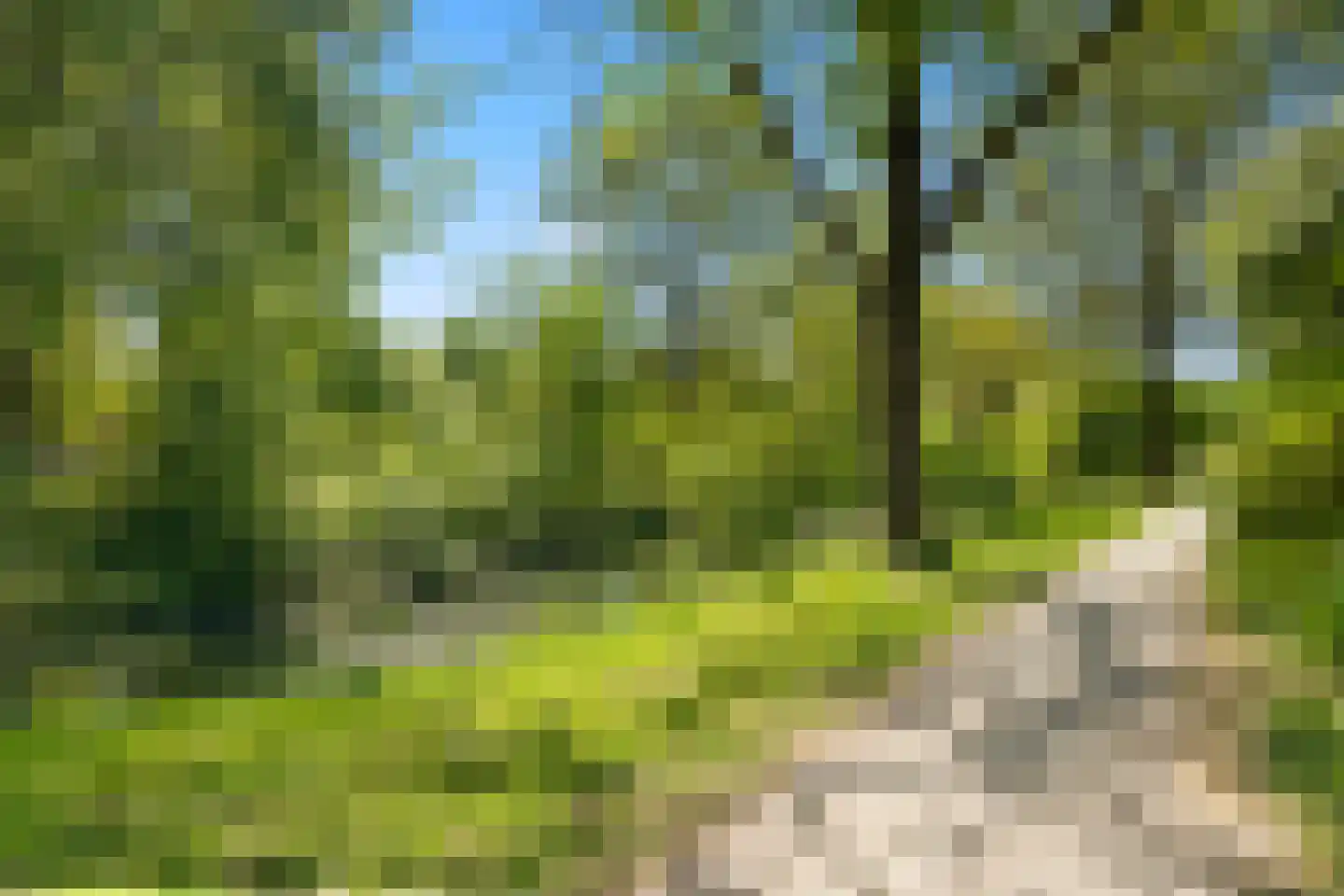 Snoeksloot 110 Houten thumbnail 51