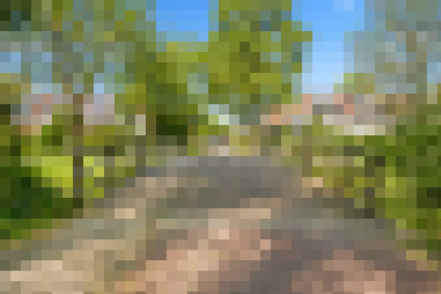 Snoeksloot 110 Houten thumbnail 52