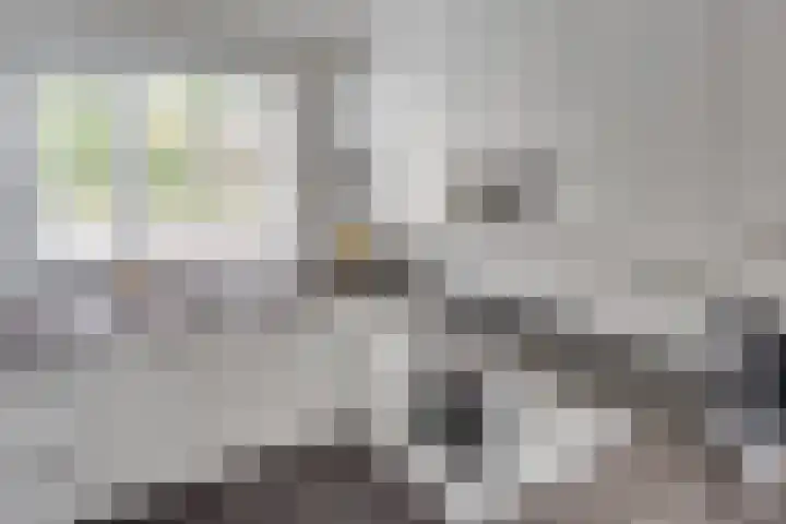Snoeksloot 114 Houten thumbnail 11