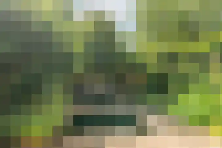 Snoeksloot 114 Houten thumbnail 15