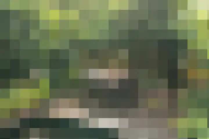 Snoeksloot 114 Houten thumbnail 16