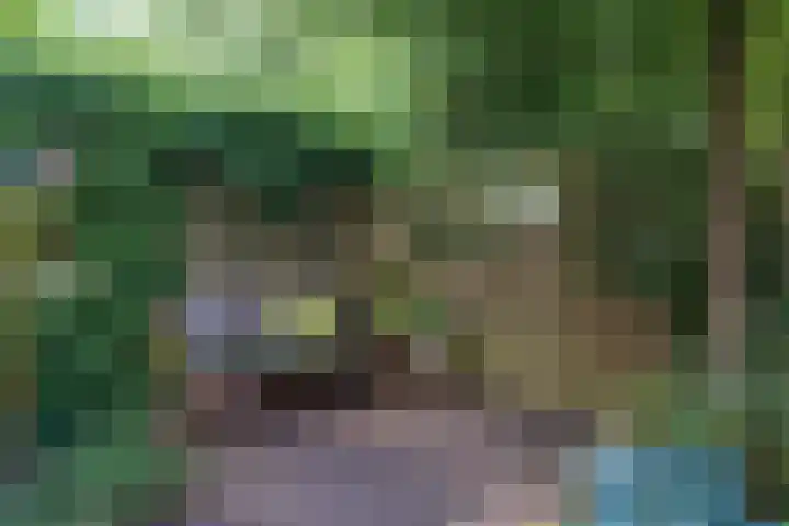 Snoeksloot 114 Houten thumbnail 17
